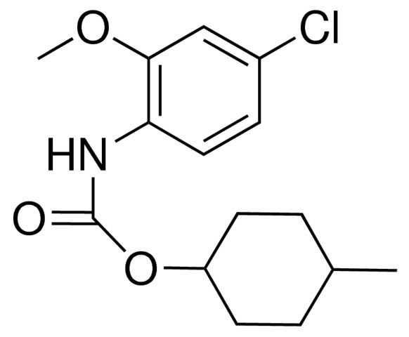 4-METHYLCYCLOHEXYL N-(4-CHLORO-2-METHOXYPHENYL)CARBAMATE