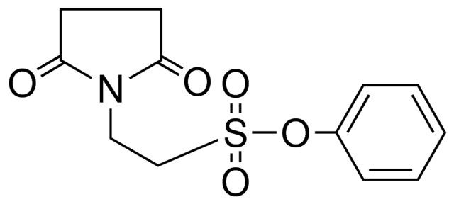 2-(2,5-DIOXO-PYRROLIDIN-1-YL)-ETHANESULFONIC ACID PHENYL ESTER