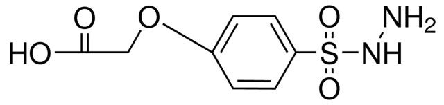 2-(4-(HYDRAZINOSULFONYL)PHENOXY)ACETIC ACID