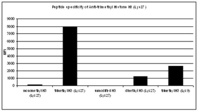 Anti-trimethyl Histone H3 (Lys27) Antibody, Trial Size