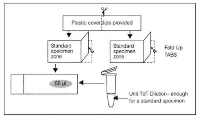 ApopTag Plastic Coverslip