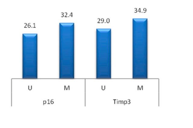 CpGenome Rat Unmethylated Genomic DNA Standard