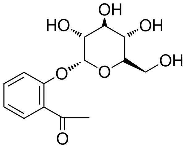 1-(2-(GLUCOPYRANOSYL)-PHENYL)-ETHANONE