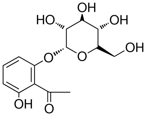 1-(2-HYDROXY-6-(GLUCOPYRANOSYL)-PHENYL)-ETHANONE