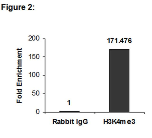 Anti-trimethyl-Histone H3 (Lys4) Antibody, clone 15-10C-E4, Trial Size