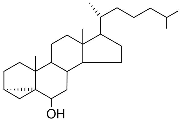 3-ALPHA,5-CYCLO-5-ALPHA-CHOLESTAN-6-BETA-OL