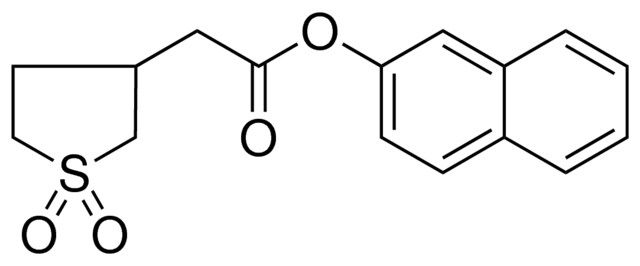 (1,1-DIOXO-TETRAHYDRO-THIOPHEN-3-YL)-ACETIC ACID NAPHTHALEN-2-YL ESTER