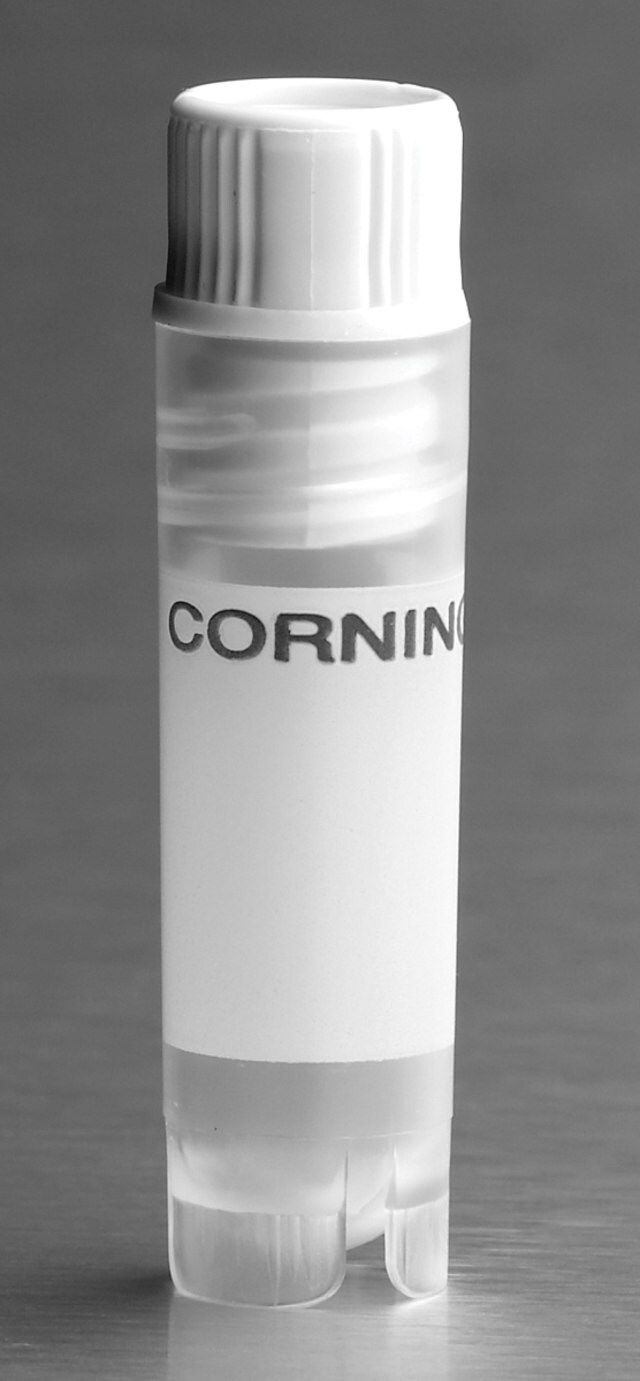 Corning<sup>®</sup> cryogenic vial with washer