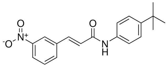 N-(4-TERT-BUTYL-PHENYL)-3-(3-NITRO-PHENYL)-ACRYLAMIDE