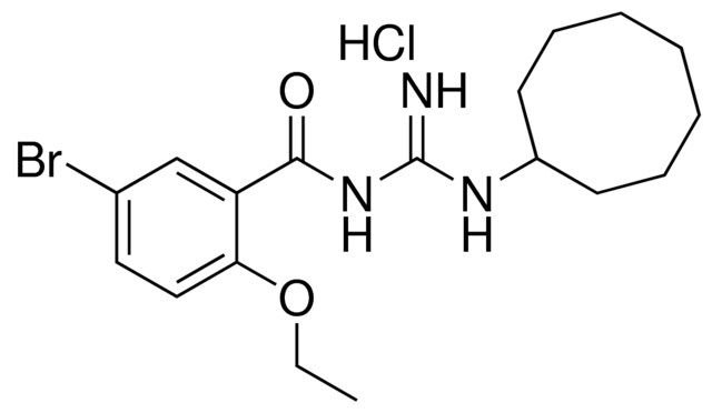 N-(5-BROMO-2-ETHOXY-BENZOYL)-N'-CYCLOOCTYL-GUANIDINE, HYDROCHLORIDE