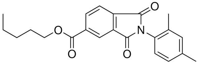 2(2,4-DI-ME-PH)1,3-DIOXO-2,3-DIHYDRO-1H-ISOINDOLE-5-CARBOXYLIC ACID PENTYL ESTER