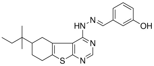 3-HYDROXYBENZALDEHYDE (6-TERT-PENTYL-5,6,7,8-TETRAHYDRO[1]BENZOTHIENO[2,3-D]PYRIMIDIN-4-YL)HYDRAZONE