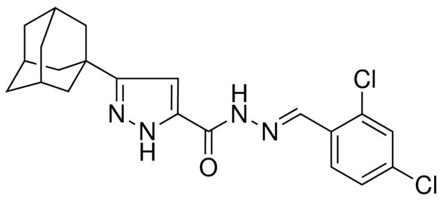 5-ADAMANTAN-1-YL-2H-PYRAZOLE-3-CARBOXYLIC ACID (2,4-DI-CL-BENZYLIDENE)-HYDRAZIDE