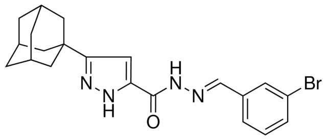 5-ADAMANTAN-1-YL-2H-PYRAZOLE-3-CARBOXYLIC ACID (3-BROMO-BENZYLIDENE)-HYDRAZIDE