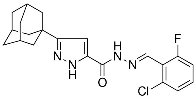 5-ADAMANTAN-1-YL-2H-PYRAZOLE-3-CARBOXYLIC ACID (2-CL-6-F-BENZYLIDENE)-HYDRAZIDE