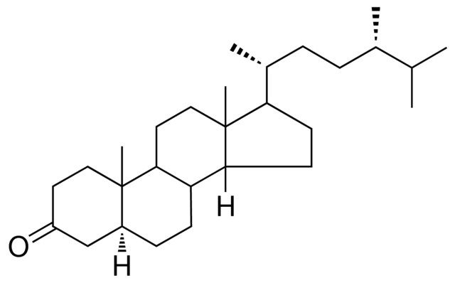 5-ALPHA,9-BETA-ERGOSTAN-3-ONE