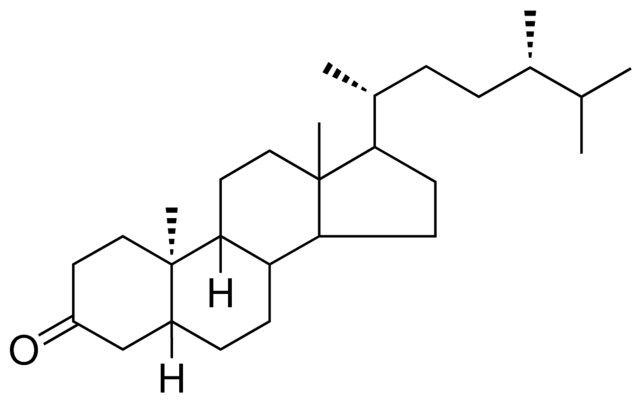 5-BETA,9-BETA,10-ALPHA-ERGOSTAN-3-ONE