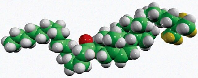 16:0 cholesteryl-d7 ester