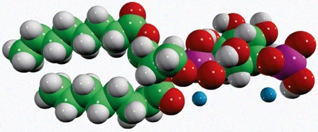 08:0 PI(3)P