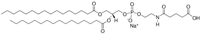 16:0 Glutaryl PE