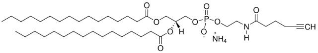 16:0 hexynoyl PE