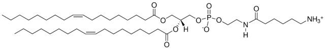 18:1 Caproylamine PE