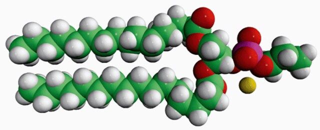 16:0 Phosphatidylpropanol