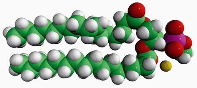 16:0 Phosphatidylmethanol