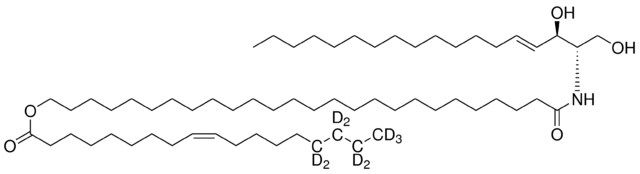 CER1 (d18:1/26:0/18:1(d9))