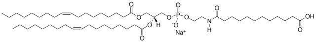 18:1 Dodecanyl PE