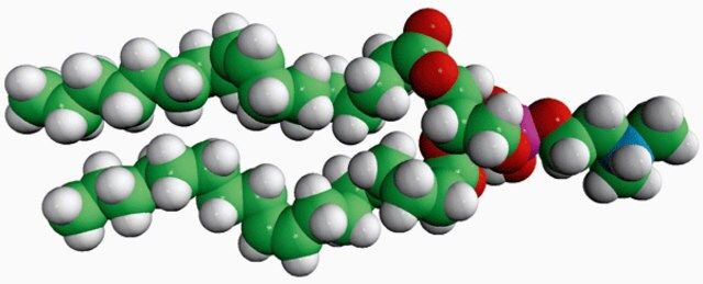 18:1 Dimethyl PE