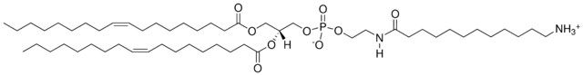 18:1 Dodecanylamine PE