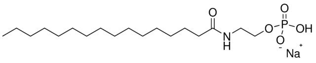 C16:0 anandamide phosphate