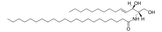 C22 Ceramide (d14:1/22:0)