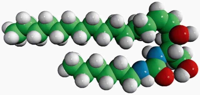 C6-Urea-Ceramide