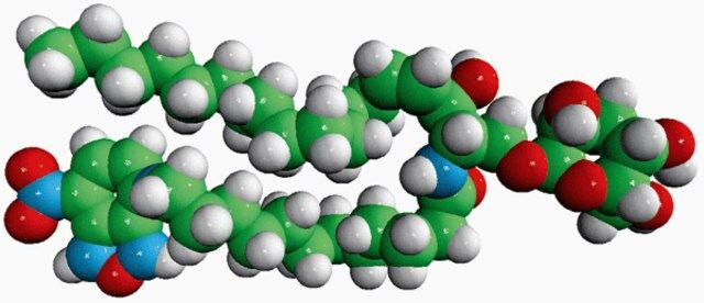 C12-NBD Glucosyl Ceramide