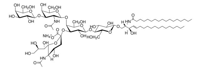 C17:0 GM1 (synthetic)