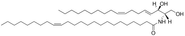 C24:1 Ceramide (d18:2(4E,8Z)/24:1(15Z))