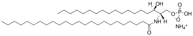 C24 Dihydroceramide-1-Phosphate (d18:0/24:0)