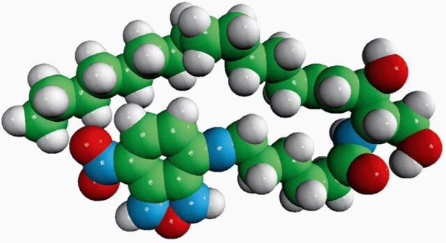 C6-NBD Ceramide