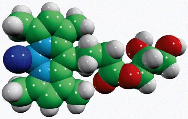 C4 TopFluor<sup>®</sup> MG