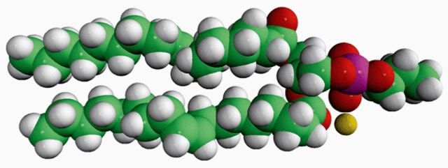 18:1 Phosphatidylpropanol