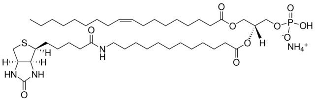 18:1-12:0 Biotin PA