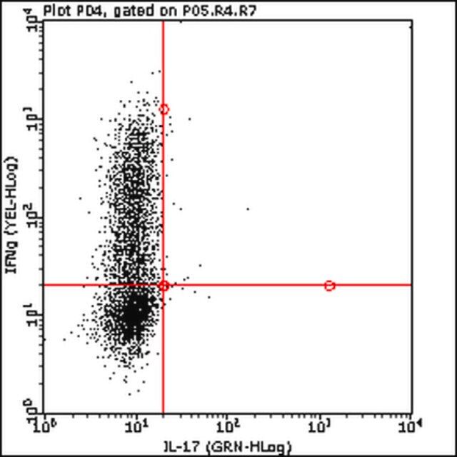 Anti-mouse IFN gamma -PE Antibody, clone XMG1.2