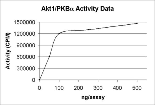 Akt1/PKB Protein, active, 15 g