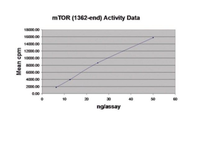 mTOR (1362-end) Protein, active, 10 g