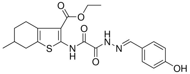 ETHYL 2-{[[(2E)-2-(4-HYDROXYBENZYLIDENE)HYDRAZINO](OXO)ACETYL]AMINO}-6-METHYL-4,5,6,7-TETRAHYDRO-1-BENZOTHIOPHENE-3-CARBOXYLATE