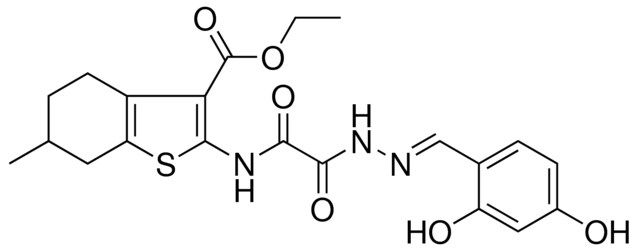 ETHYL 2-{[[(2E)-2-(2,4-DIHYDROXYBENZYLIDENE)HYDRAZINO](OXO)ACETYL]AMINO}-6-METHYL-4,5,6,7-TETRAHYDRO-1-BENZOTHIOPHENE-3-CARBOXYLATE