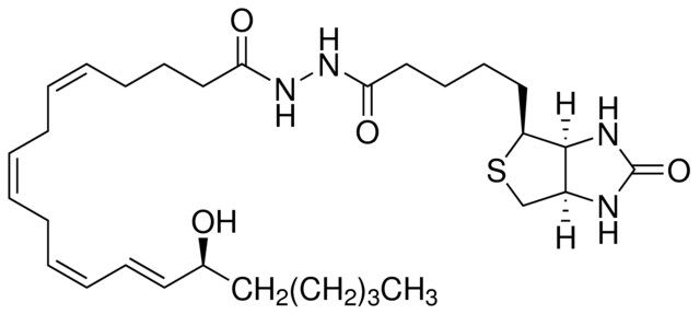 15(S)-Hydroxy-(5Z,8Z,11Z,13E)-eicosatetraene-(2-biotinyl)hydrazide