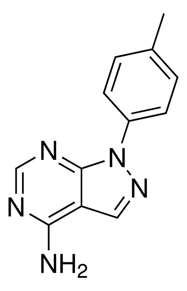 1-p-Tolyl-1H-pyrazolo[3,4-d]pyrimidin-4-amine